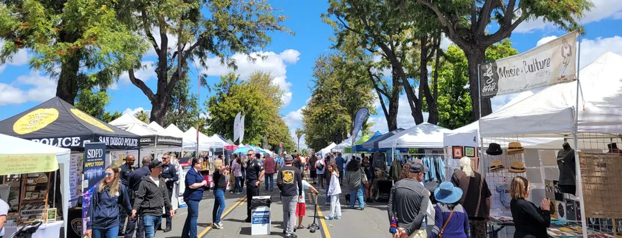Rolando Street Fair